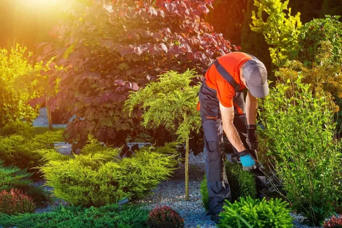 Hardscape Contractor in San Diego, CA Hardscape Contractor in San Diego, CA